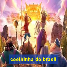 coelhinha do brasil